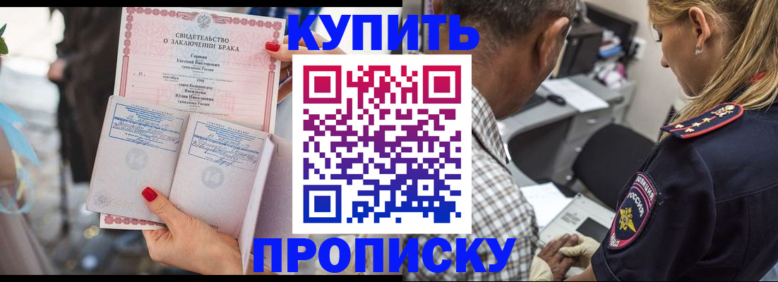 прописка законно в Бородино